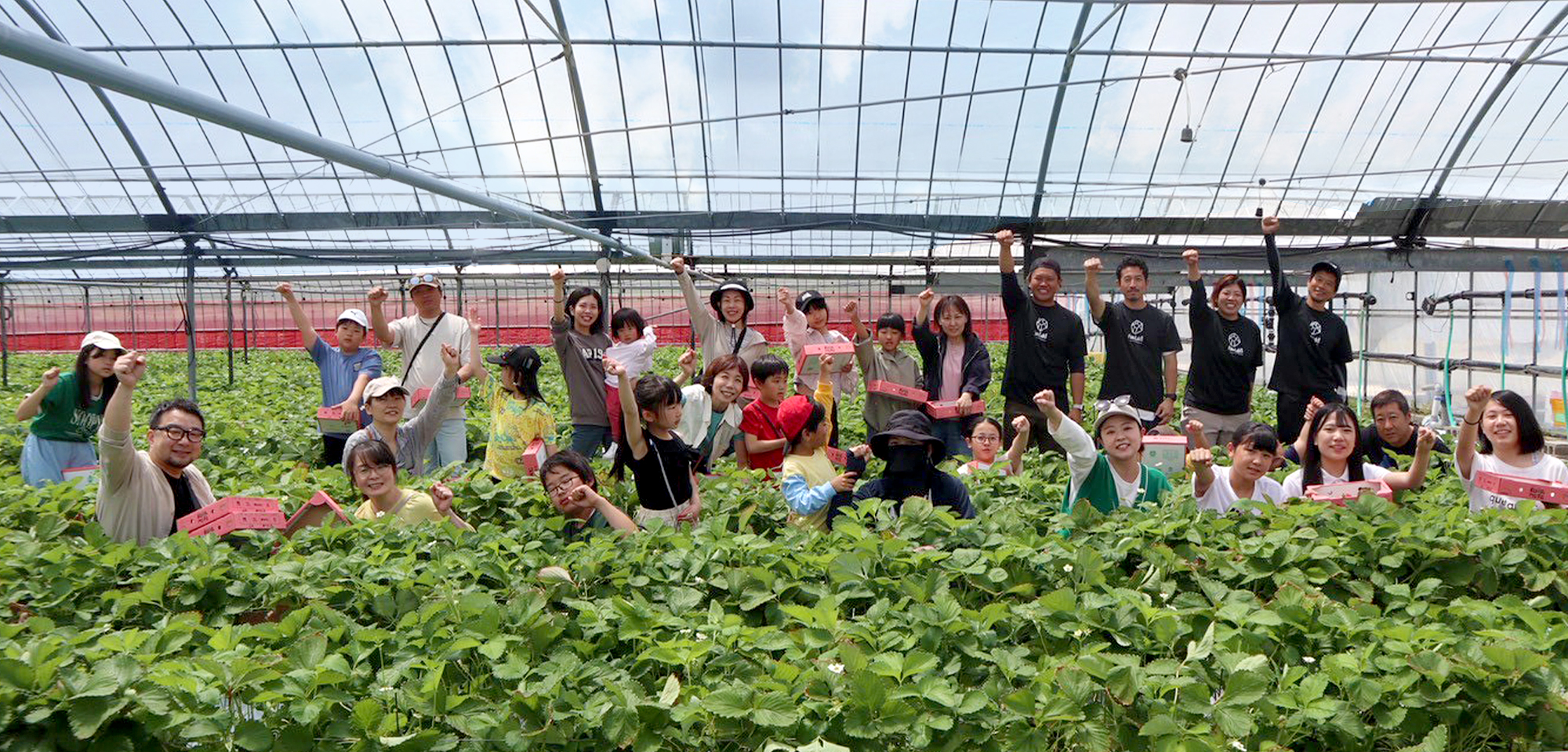 アグリスポーツのイメージ