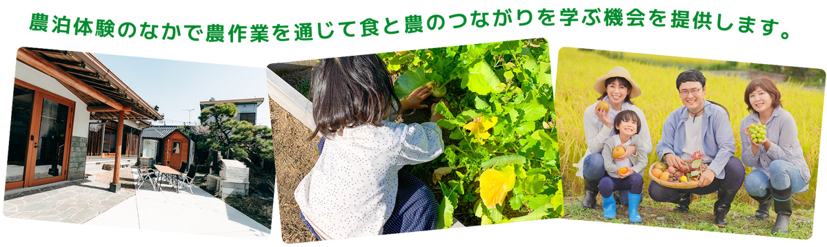 「おてつたび」等も活用し、農作業を通じて食と農のつながりを学ぶ機会を提供します