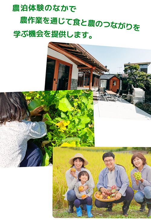 「おてつたび」等も活用し、農作業を通じて食と農のつながりを学ぶ機会を提供します